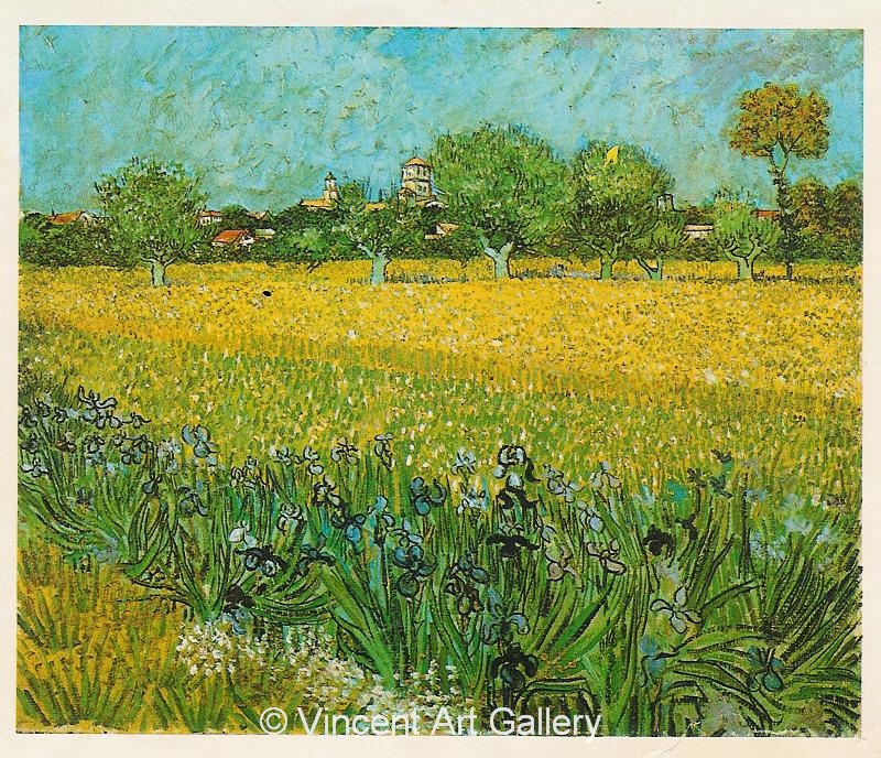 JH1416, View of Arles with Irises in the Foreground